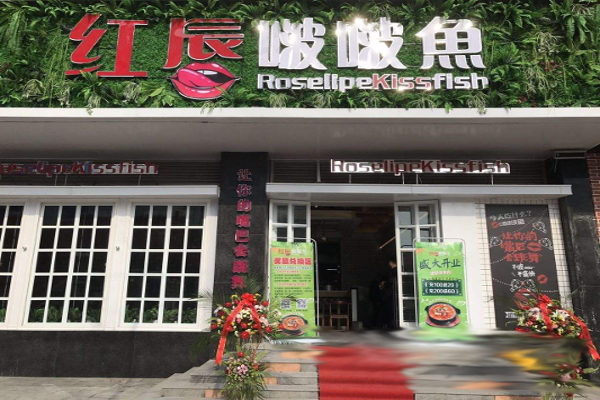 红唇啵啵鱼加盟